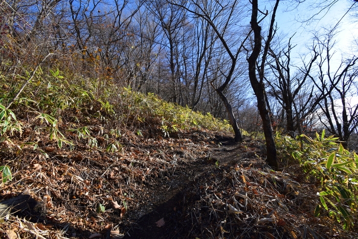 f:id:threepeaks:20191123231907j:plain f:id:threepeaks:20191123231907j:plain