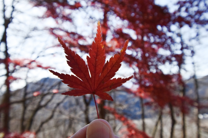 f:id:threepeaks:20191125134338j:plain f:id:threepeaks:20191125134338j:plain