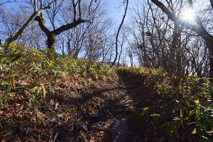 f:id:threepeaks:20191125134730j:plain f:id:threepeaks:20191125134730j:plain