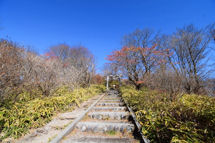 f:id:threepeaks:20191125135340j:plain f:id:threepeaks:20191125135340j:plain