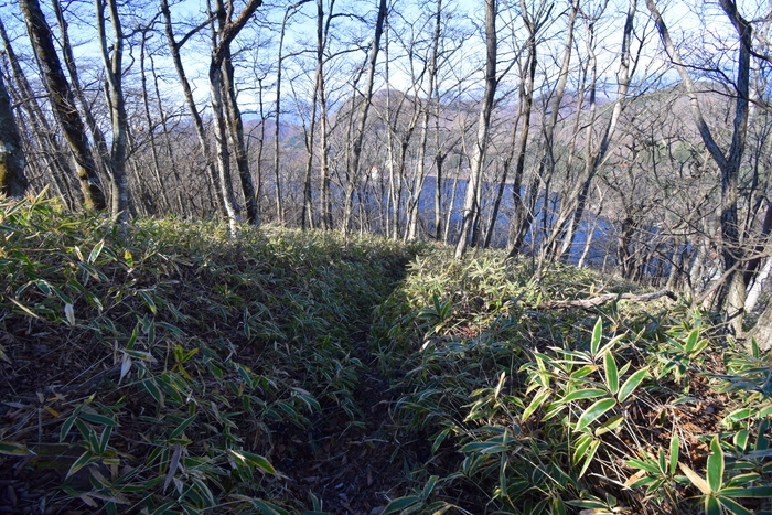 f:id:threepeaks:20191125140924j:plain f:id:threepeaks:20191125140924j:plain