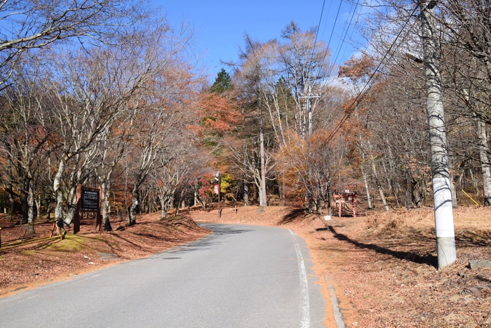 f:id:threepeaks:20191125141908j:plain f:id:threepeaks:20191125141908j:plain