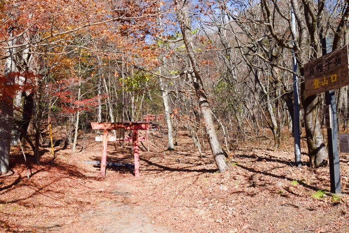 f:id:threepeaks:20191125141950j:plain f:id:threepeaks:20191125141950j:plain