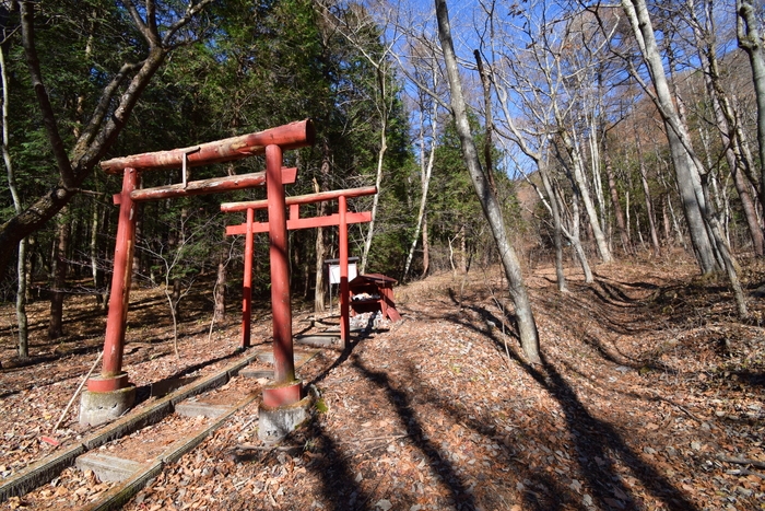 f:id:threepeaks:20191125142208j:plain f:id:threepeaks:20191125142208j:plain