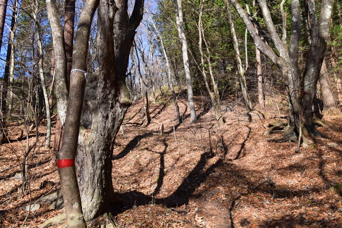 f:id:threepeaks:20191125142659j:plain f:id:threepeaks:20191125142659j:plain