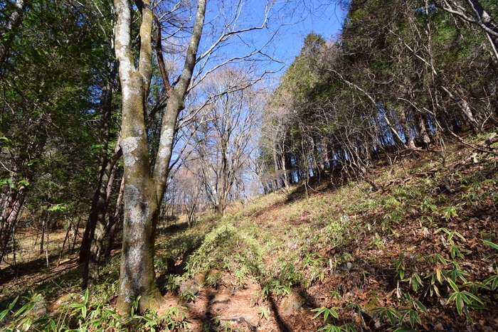 f:id:threepeaks:20191125142819j:plain f:id:threepeaks:20191125142819j:plain