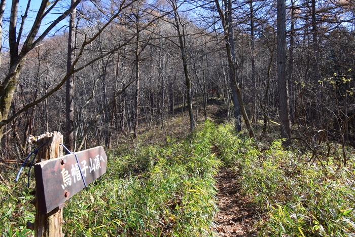 f:id:threepeaks:20191125143000j:plain f:id:threepeaks:20191125143000j:plain