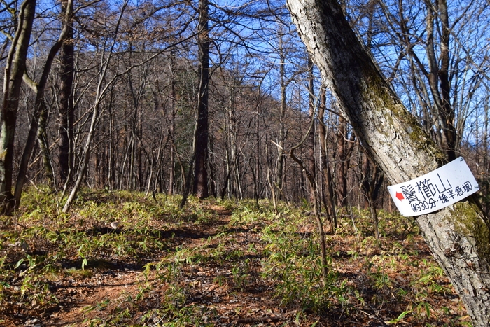 f:id:threepeaks:20191125143605j:plain f:id:threepeaks:20191125143605j:plain