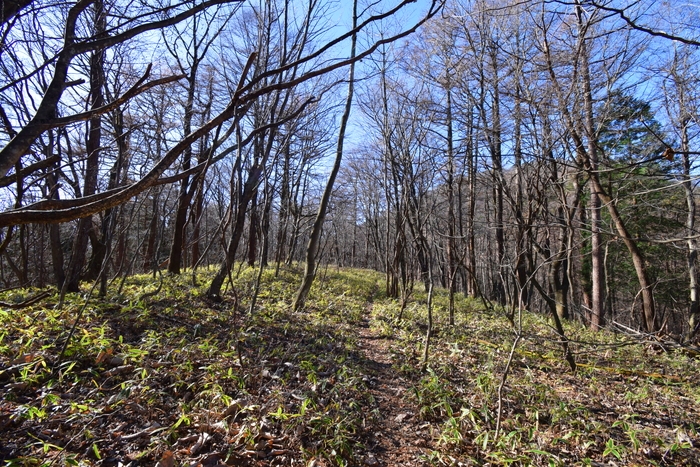 f:id:threepeaks:20191125143702j:plain f:id:threepeaks:20191125143702j:plain