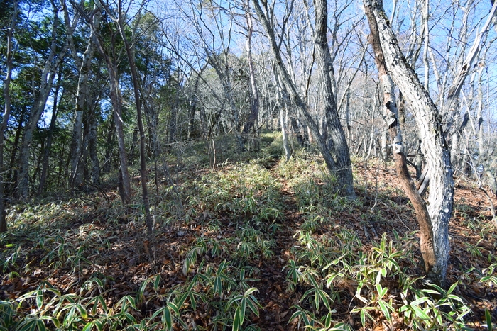 f:id:threepeaks:20191125144441j:plain f:id:threepeaks:20191125144441j:plain