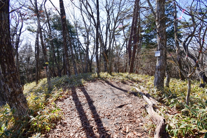 f:id:threepeaks:20191125144906j:plain f:id:threepeaks:20191125144906j:plain