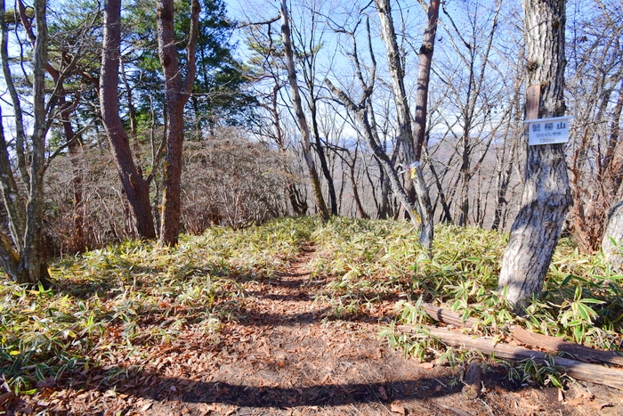 f:id:threepeaks:20191125145325j:plain f:id:threepeaks:20191125145325j:plain