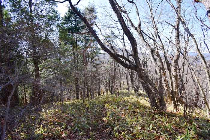 f:id:threepeaks:20191125145729j:plain f:id:threepeaks:20191125145729j:plain