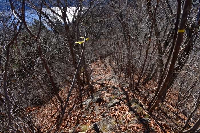 f:id:threepeaks:20191125145942j:plain f:id:threepeaks:20191125145942j:plain