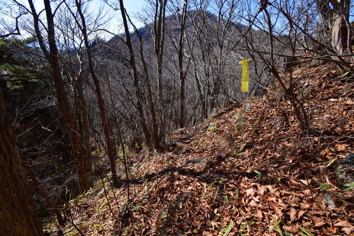 f:id:threepeaks:20191125150235j:plain f:id:threepeaks:20191125150235j:plain