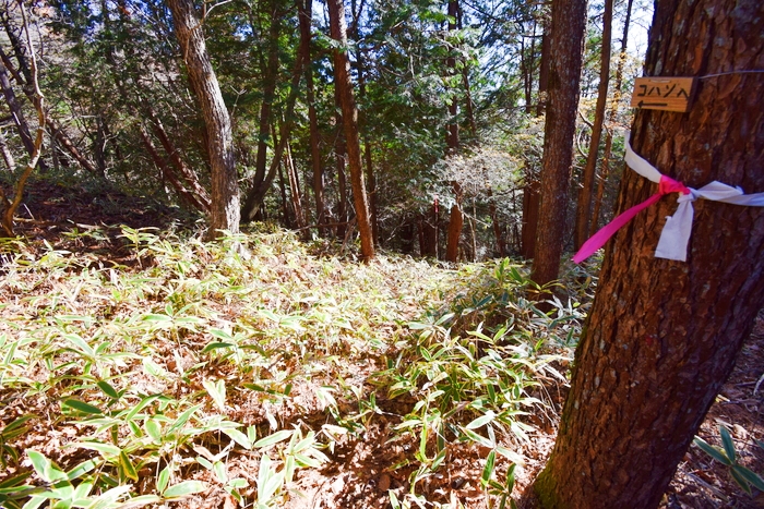 f:id:threepeaks:20191125150510j:plain f:id:threepeaks:20191125150510j:plain