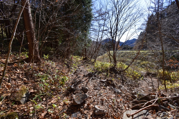 f:id:threepeaks:20191125150916j:plain f:id:threepeaks:20191125150916j:plain