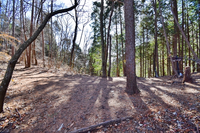 f:id:threepeaks:20191125153014j:plain f:id:threepeaks:20191125153014j:plain