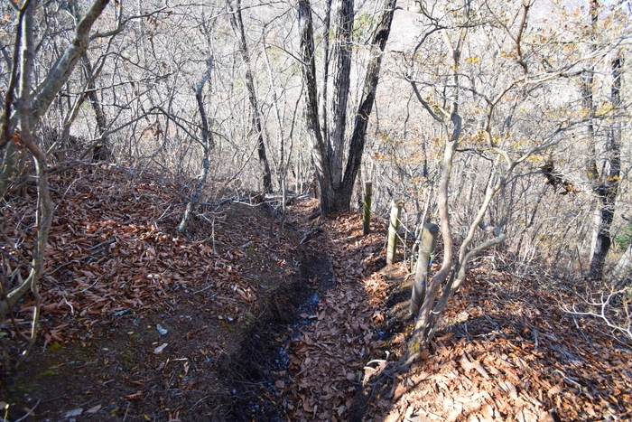 f:id:threepeaks:20191125154757j:plain f:id:threepeaks:20191125154757j:plain