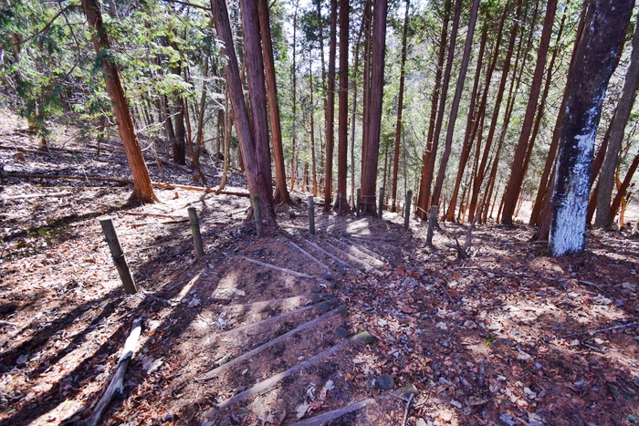 f:id:threepeaks:20191125155205j:plain f:id:threepeaks:20191125155205j:plain