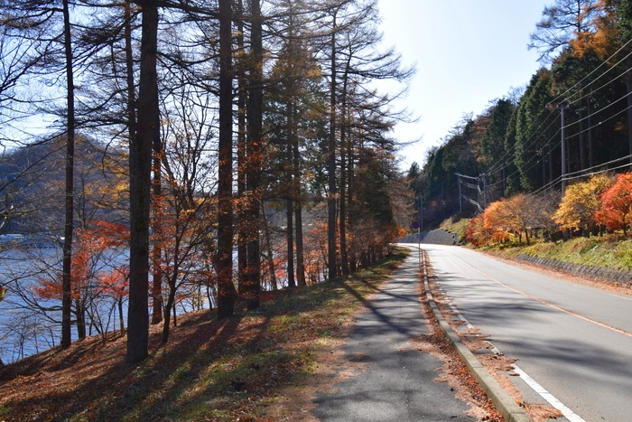 f:id:threepeaks:20191125155633j:plain f:id:threepeaks:20191125155633j:plain