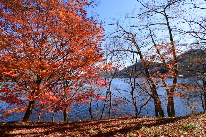 f:id:threepeaks:20191125155704j:plain f:id:threepeaks:20191125155704j:plain