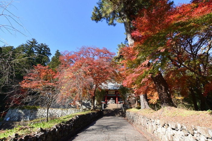 f:id:threepeaks:20191211171953j:plain f:id:threepeaks:20191211171953j:plain