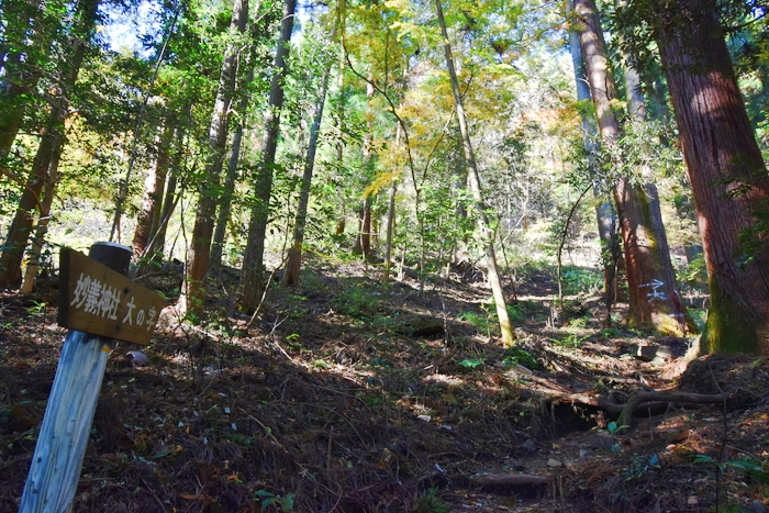 f:id:threepeaks:20191211180400j:plain f:id:threepeaks:20191211180400j:plain