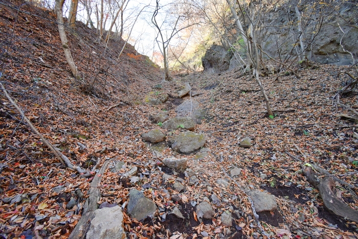 f:id:threepeaks:20191211180628j:plain f:id:threepeaks:20191211180628j:plain