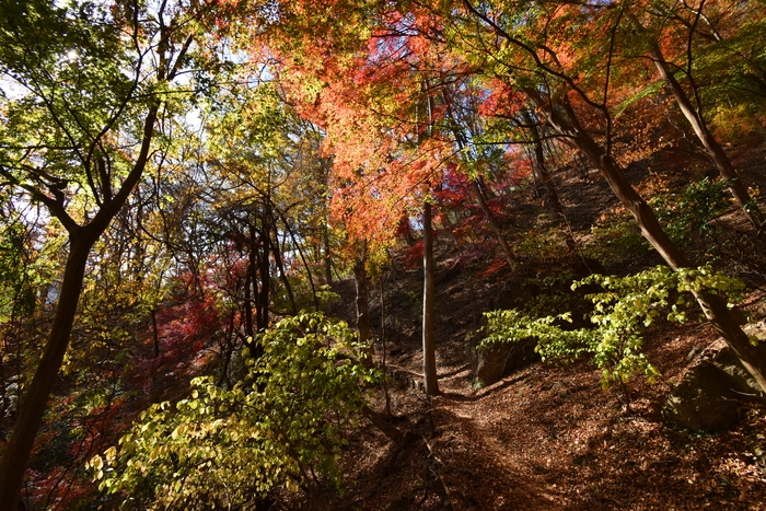 f:id:threepeaks:20191211202204j:plain f:id:threepeaks:20191211202204j:plain