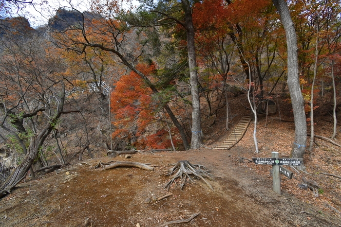 f:id:threepeaks:20191211202854j:plain f:id:threepeaks:20191211202854j:plain