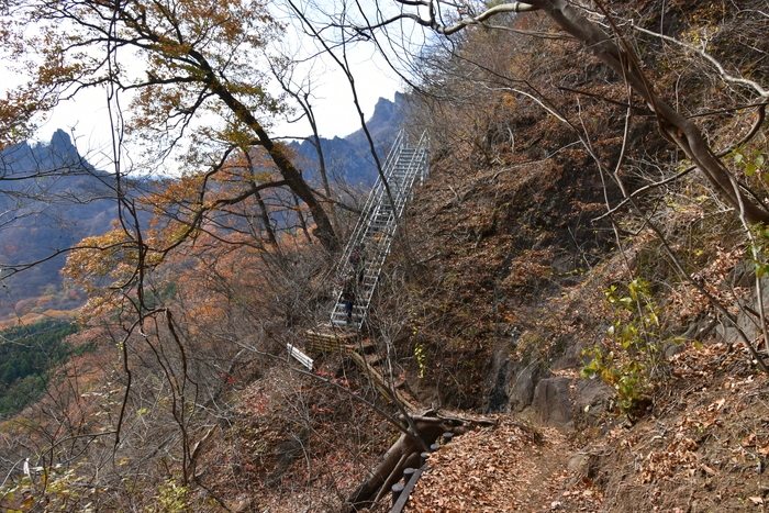 f:id:threepeaks:20191211203417j:plain f:id:threepeaks:20191211203417j:plain