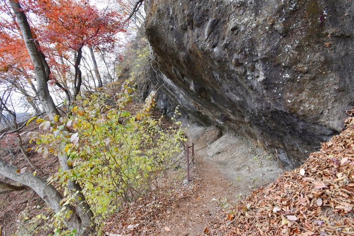 f:id:threepeaks:20191211203929j:plain f:id:threepeaks:20191211203929j:plain