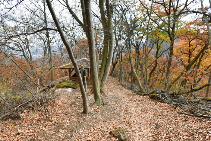 f:id:threepeaks:20191211204443j:plain f:id:threepeaks:20191211204443j:plain