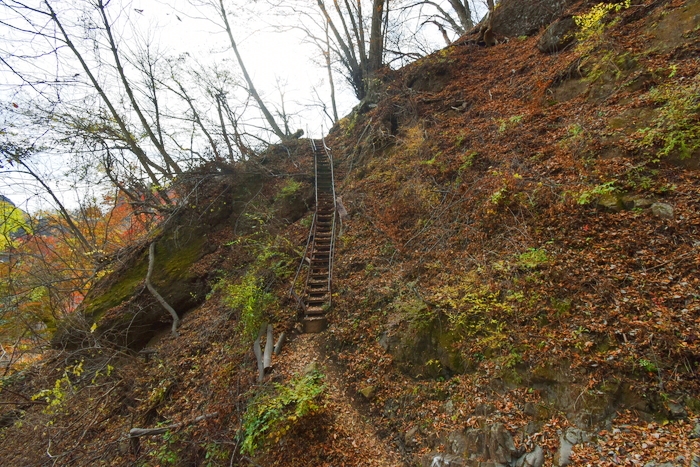 f:id:threepeaks:20191211204920j:plain f:id:threepeaks:20191211204920j:plain