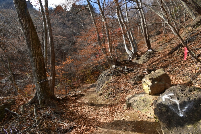 f:id:threepeaks:20191211205333j:plain f:id:threepeaks:20191211205333j:plain