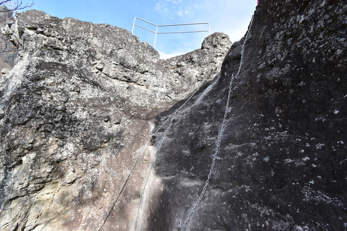 f:id:threepeaks:20191211210947j:plain f:id:threepeaks:20191211210947j:plain