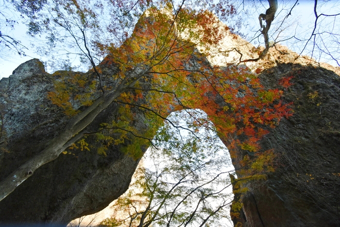 f:id:threepeaks:20191211221445j:plain f:id:threepeaks:20191211221445j:plain