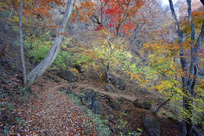 f:id:threepeaks:20191211222830j:plain f:id:threepeaks:20191211222830j:plain