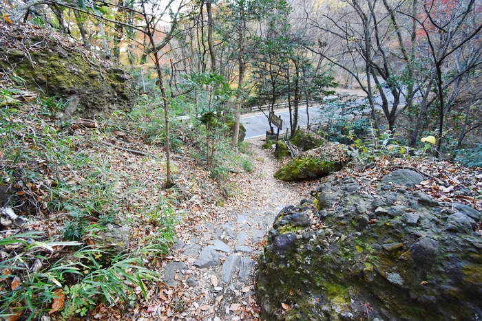 f:id:threepeaks:20191211223136j:plain f:id:threepeaks:20191211223136j:plain