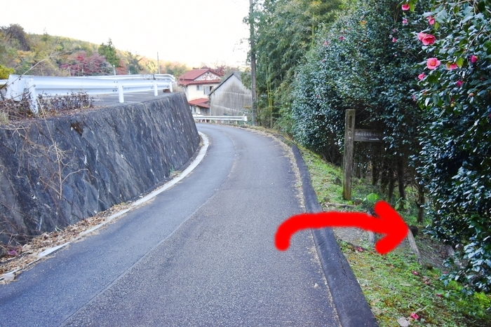 f:id:threepeaks:20191211235808j:plain f:id:threepeaks:20191211235808j:plain