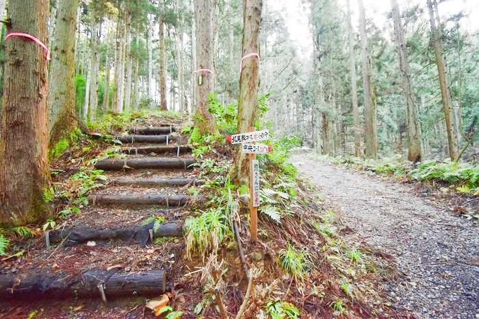 f:id:threepeaks:20191226005724j:plain f:id:threepeaks:20191226005724j:plain