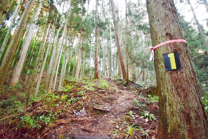 f:id:threepeaks:20191227130613j:plain f:id:threepeaks:20191227130613j:plain