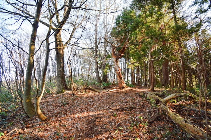 f:id:threepeaks:20191227131446j:plain f:id:threepeaks:20191227131446j:plain