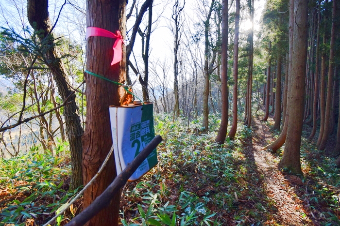 f:id:threepeaks:20191227132321j:plain f:id:threepeaks:20191227132321j:plain