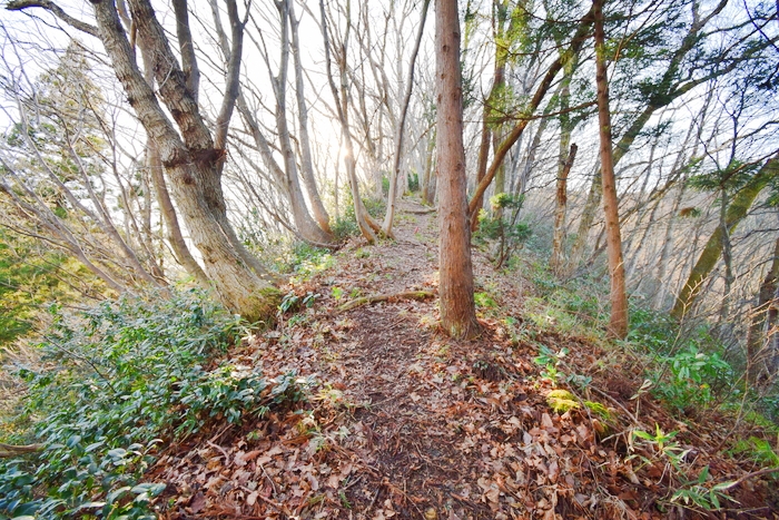 f:id:threepeaks:20191227132532j:plain f:id:threepeaks:20191227132532j:plain