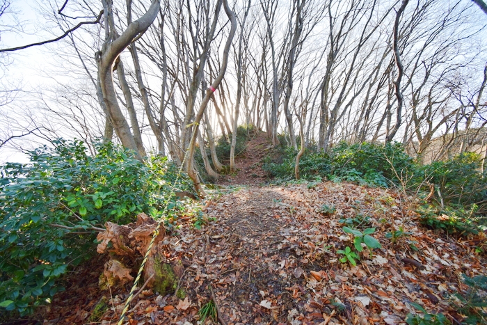 f:id:threepeaks:20191227132614j:plain f:id:threepeaks:20191227132614j:plain