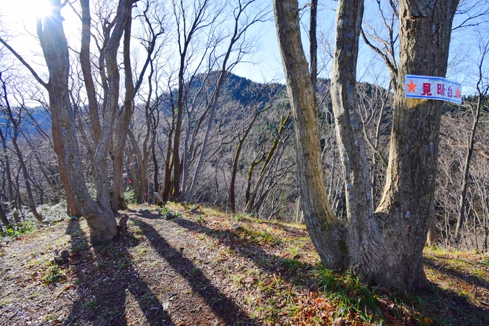 f:id:threepeaks:20191227132847j:plain f:id:threepeaks:20191227132847j:plain