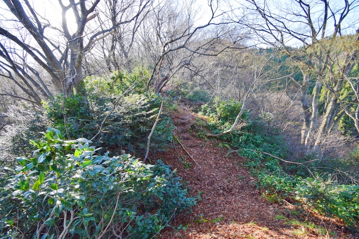 f:id:threepeaks:20191227133625j:plain f:id:threepeaks:20191227133625j:plain