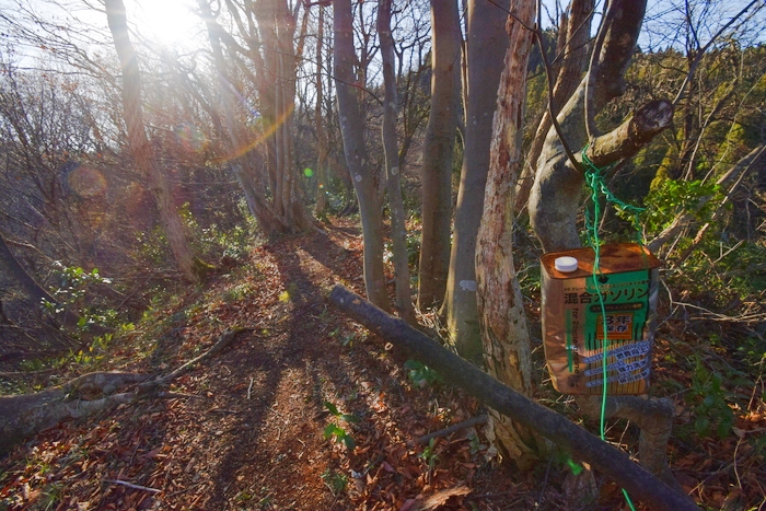 f:id:threepeaks:20191227133641j:plain f:id:threepeaks:20191227133641j:plain